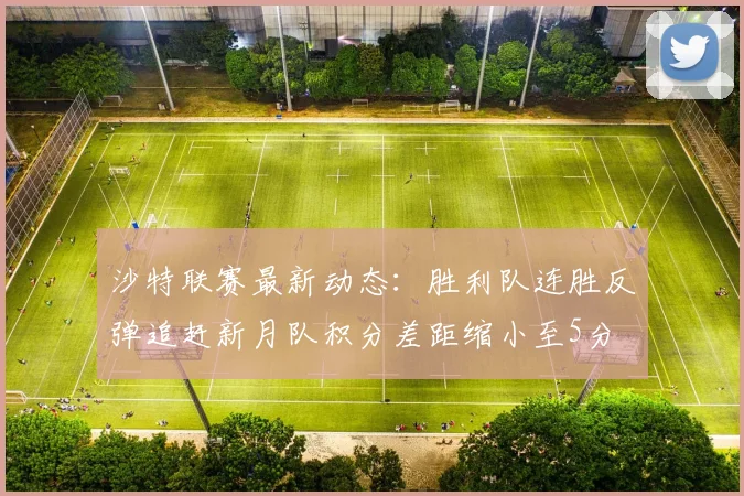 沙特联赛最新动态：胜利队连胜反弹追赶新月队积分差距缩小至5分